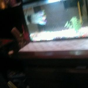 Meet your Posher, Candi